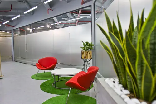Decorative window film in a Dallas office